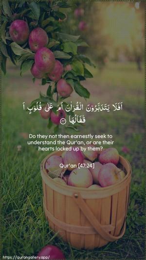 Muhammad Ayah 24 - Arabic + English wallpaper