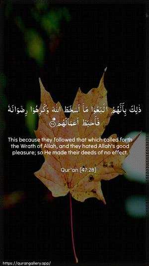 Muhammad Ayah 28 - Arabic + English wallpaper