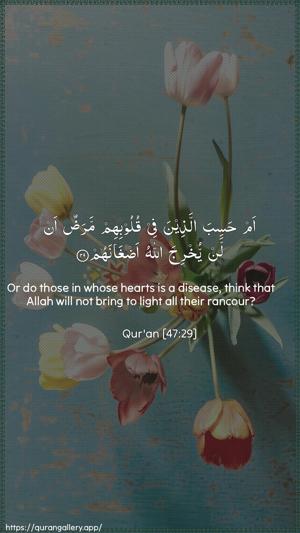 Muhammad Ayah 29 - Arabic + English wallpaper