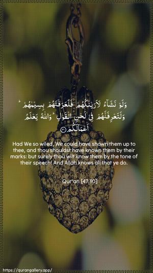 Muhammad Ayah 30 - Arabic + English wallpaper