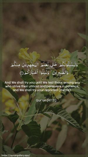 Muhammad Ayah 31 - Arabic + English wallpaper
