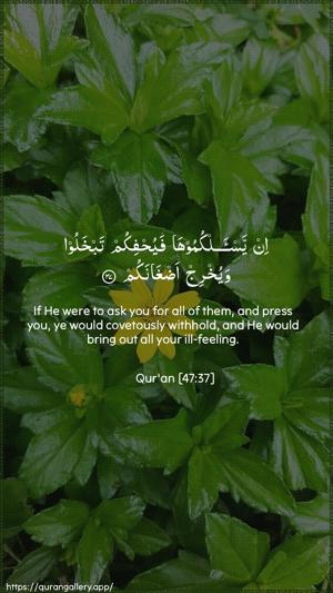 Muhammad Ayah 37 - Arabic + English wallpaper