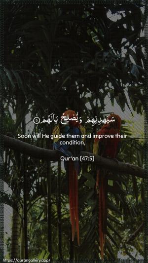 Muhammad Ayah 5 - Arabic + English wallpaper