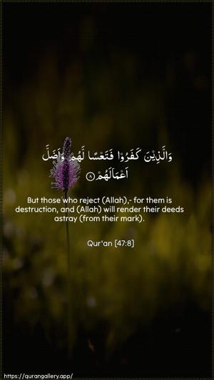 Muhammad Ayah 8 - Arabic + English wallpaper
