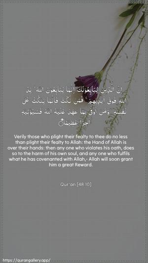 Al-Fath Ayah 10 - Arabic + English wallpaper