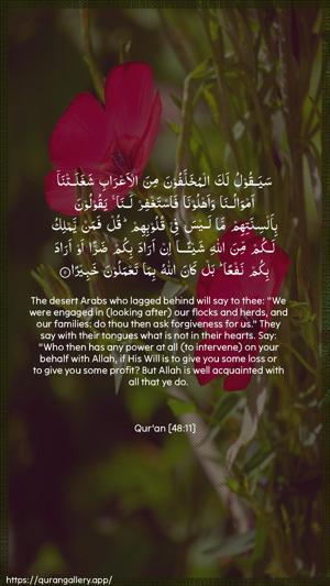 Al-Fath Ayah 11 - Arabic + English wallpaper