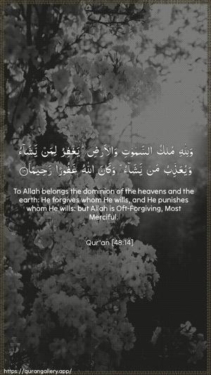 Al-Fath Ayah 14 - Arabic + English wallpaper