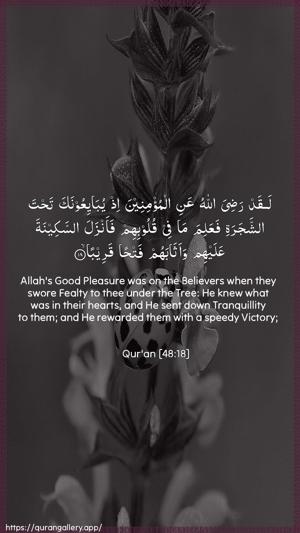Al-Fath Ayah 18 - Arabic + English wallpaper