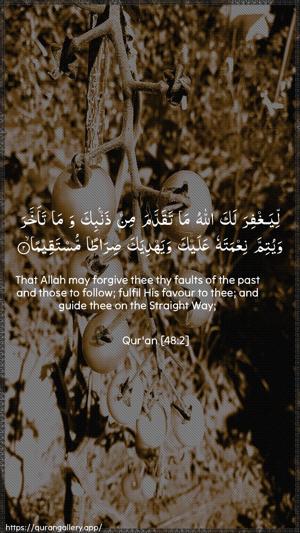 Al-Fath Ayah 2 - Arabic + English wallpaper