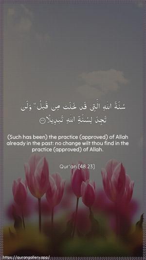 Al-Fath Ayah 23 - Arabic + English wallpaper