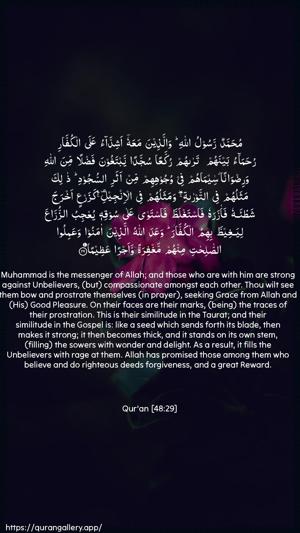 Al-Fath Ayah 29 - Arabic + English wallpaper