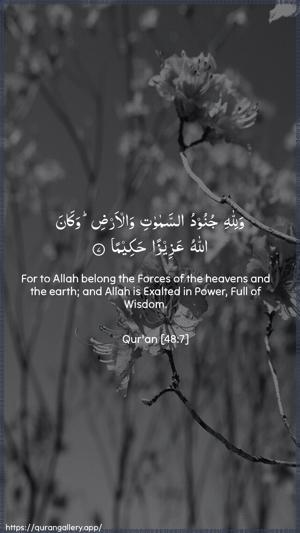 Al-Fath Ayah 7 - Arabic + English wallpaper