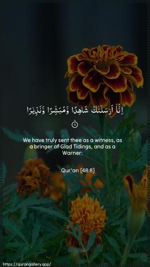 Al-Fath Ayah 8 - Arabic + English wallpaper