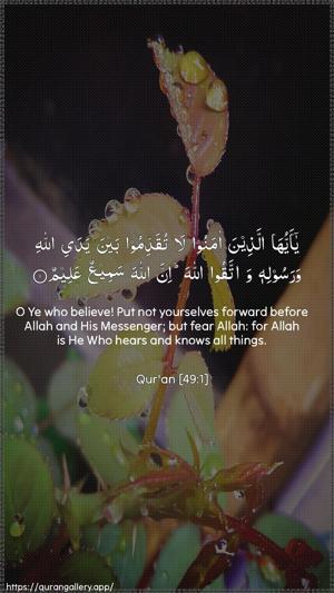 Al-Hujuraat Ayah 1 - Arabic + English wallpaper
