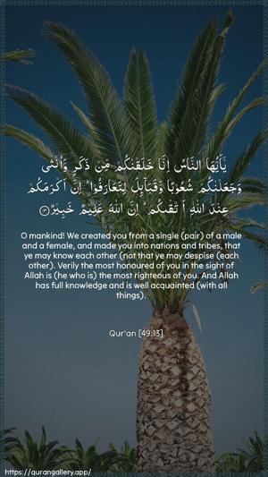 Al-Hujuraat Ayah 13 - Arabic + English wallpaper