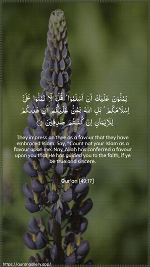Al-Hujuraat Ayah 17 - Arabic + English wallpaper