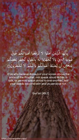 Al-Hujuraat Ayah 2 - Arabic + English wallpaper
