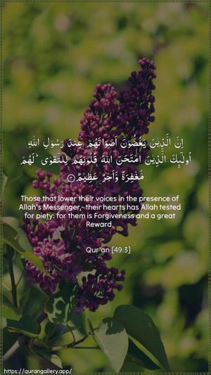 Al-Hujuraat Ayah 3 - Arabic + English wallpaper