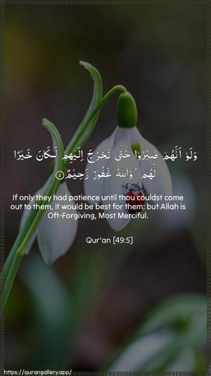 Al-Hujuraat Ayah 5 - Arabic + English wallpaper