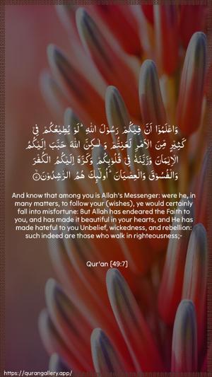 Al-Hujuraat Ayah 7 - Arabic + English wallpaper
