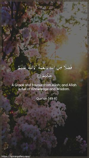 Al-Hujuraat Ayah 8 - Arabic + English wallpaper