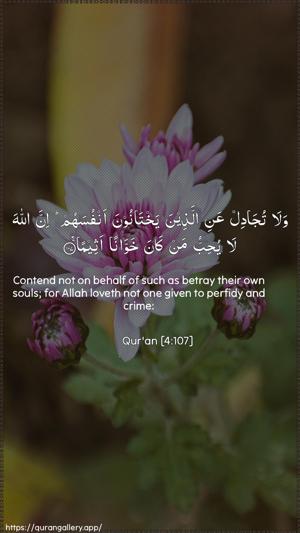 An-Nisaa Ayah 107 - Arabic + English wallpaper