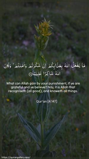 An-Nisaa Ayah 147 - Arabic + English wallpaper