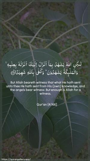An-Nisaa Ayah 166 - Arabic + English wallpaper