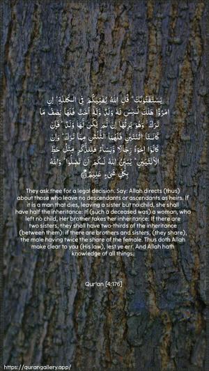 An-Nisaa Ayah 176 - Arabic + English wallpaper