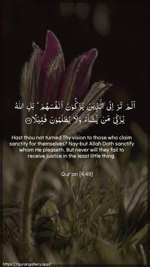 An-Nisaa Ayah 49 - Arabic + English wallpaper