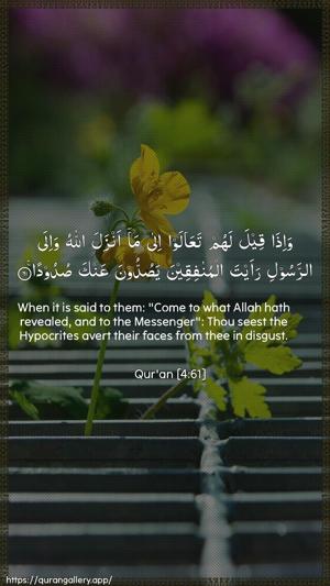 An-Nisaa Ayah 61 - Arabic + English wallpaper