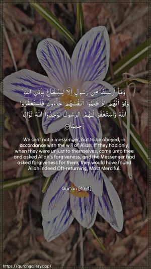 An-Nisaa Ayah 64 - Arabic + English wallpaper