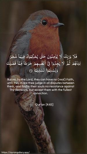An-Nisaa Ayah 65 - Arabic + English wallpaper