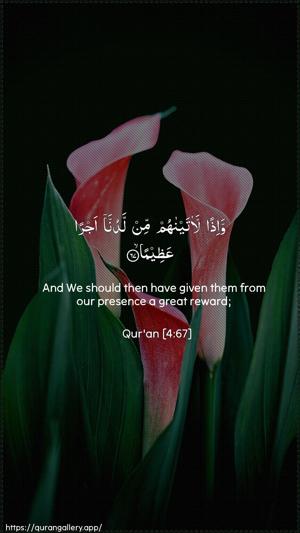An-Nisaa Ayah 67 - Arabic + English wallpaper