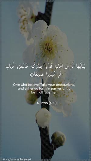 An-Nisaa Ayah 71 - Arabic + English wallpaper