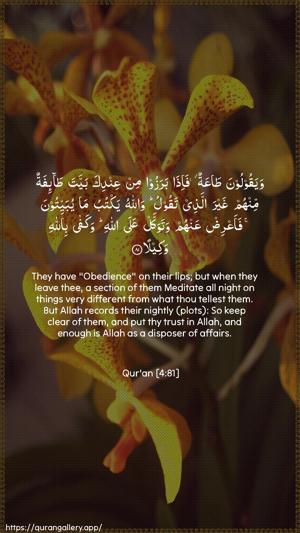 An-Nisaa Ayah 81 - Arabic + English wallpaper