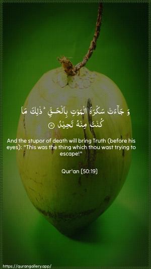 Qaaf Ayah 19 - Arabic + English wallpaper