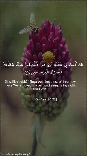 Qaaf Ayah 22 - Arabic + English wallpaper