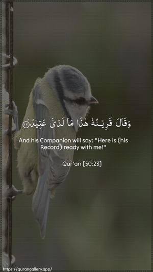 Qaaf Ayah 23 - Arabic + English wallpaper