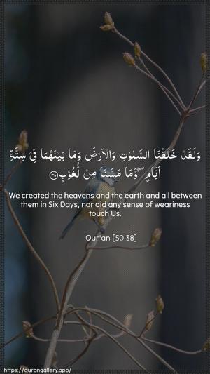 Qaaf Ayah 38 - Arabic + English wallpaper