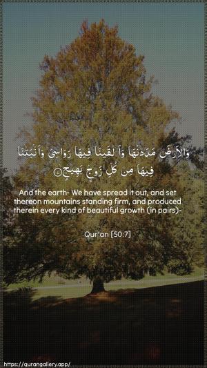 Qaaf Ayah 7 - Arabic + English wallpaper