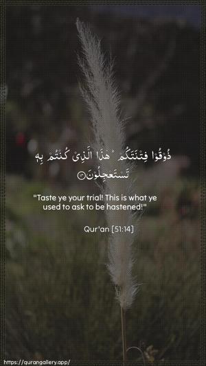 Adh-Dhaariyat Ayah 14 - Arabic + English wallpaper