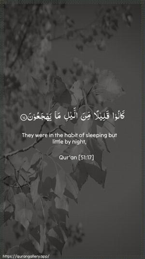 Adh-Dhaariyat Ayah 17 - Arabic + English wallpaper