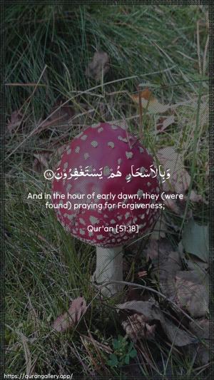 Adh-Dhaariyat Ayah 18 - Arabic + English wallpaper