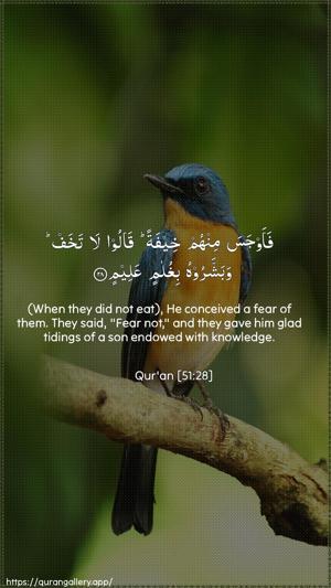 Adh-Dhaariyat Ayah 28 - Arabic + English wallpaper