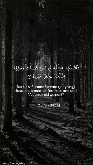 Adh-Dhaariyat Ayah 29 - Arabic + English wallpaper