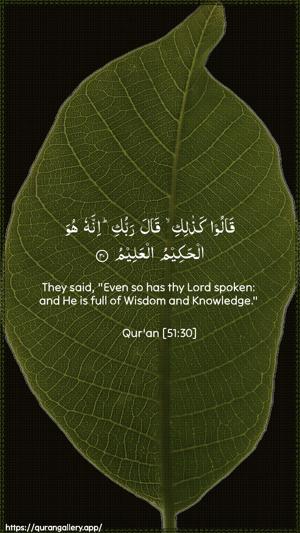 Adh-Dhaariyat Ayah 30 - Arabic + English wallpaper