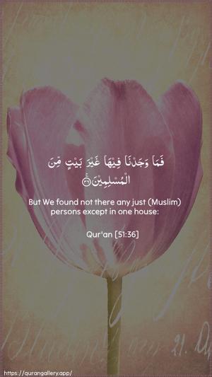 Adh-Dhaariyat Ayah 36 - Arabic + English wallpaper