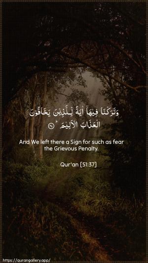 Adh-Dhaariyat Ayah 37 - Arabic + English wallpaper