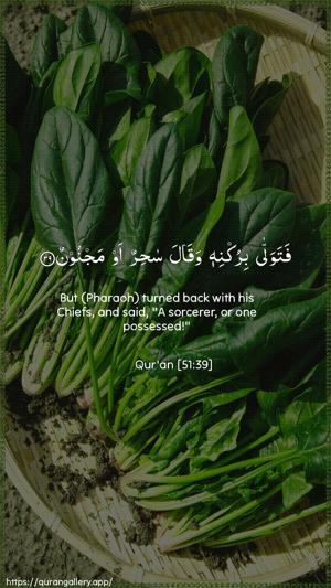 Adh-Dhaariyat Ayah 39 - Arabic + English wallpaper